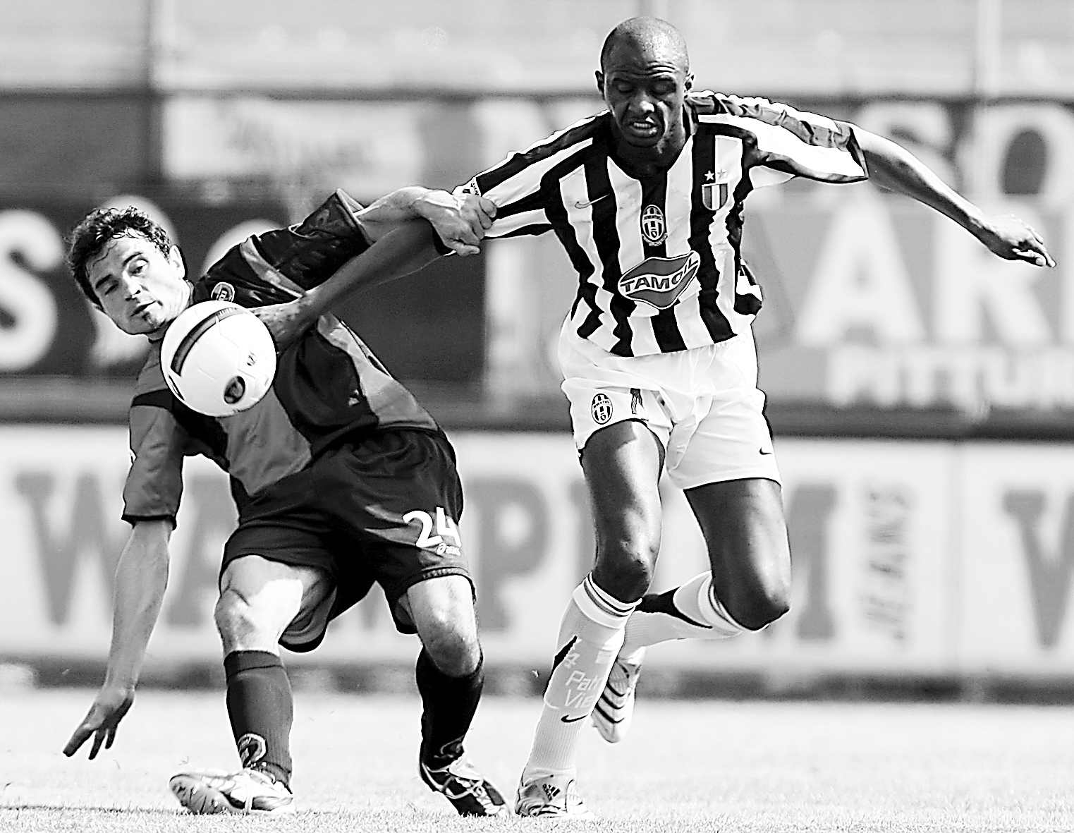 以上的主要 以上的主要